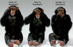 feedback